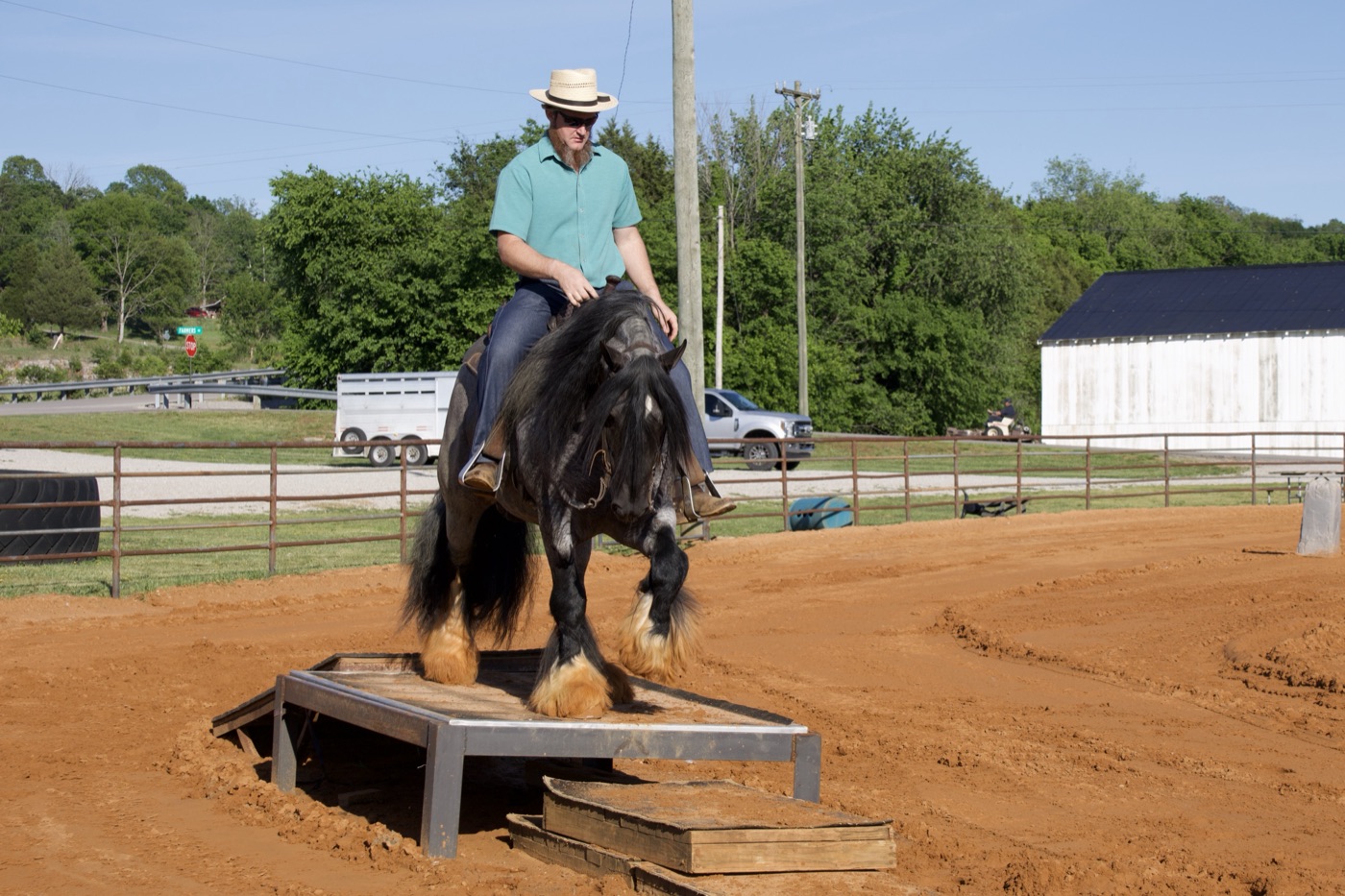 A Spark of Cosmic Blue crossing a wooden bridge obstacle under saddle