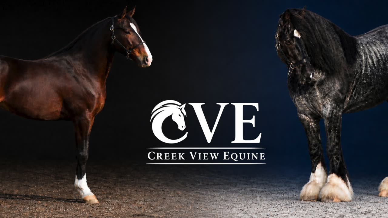 Both Creek View stallions, closing frame of the farm film