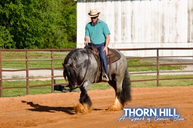 A Spark of Cosmic Blue under saddle