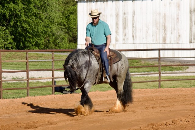 A Spark of Cosmic Blue under saddle