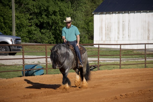 A Spark of Cosmic Blue under saddle