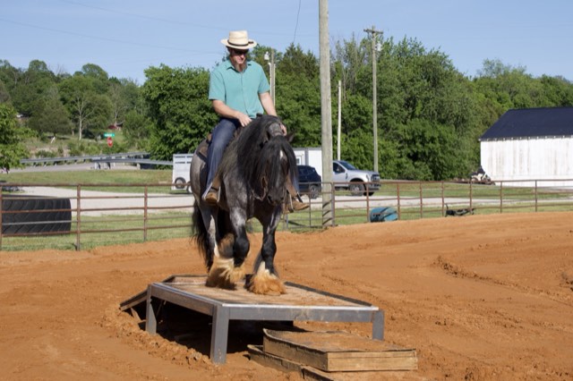 A Spark of Cosmic Blue under saddle