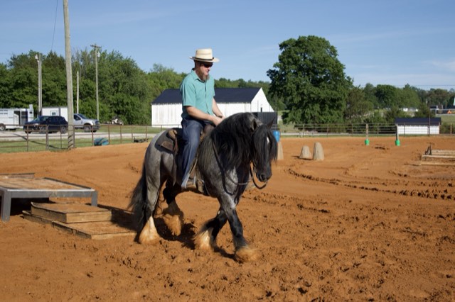 A Spark of Cosmic Blue under saddle