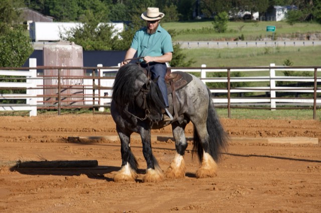 A Spark of Cosmic Blue under saddle