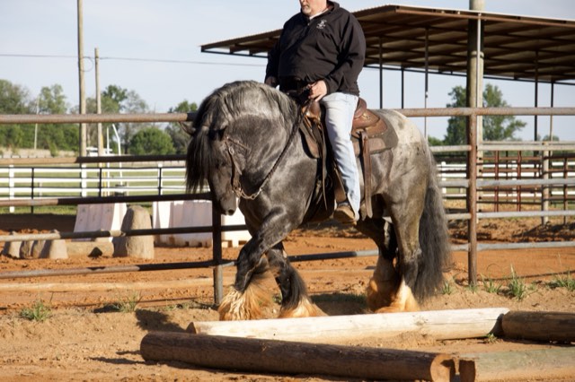 A Spark of Cosmic Blue under saddle