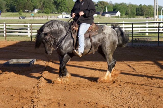 A Spark of Cosmic Blue under saddle