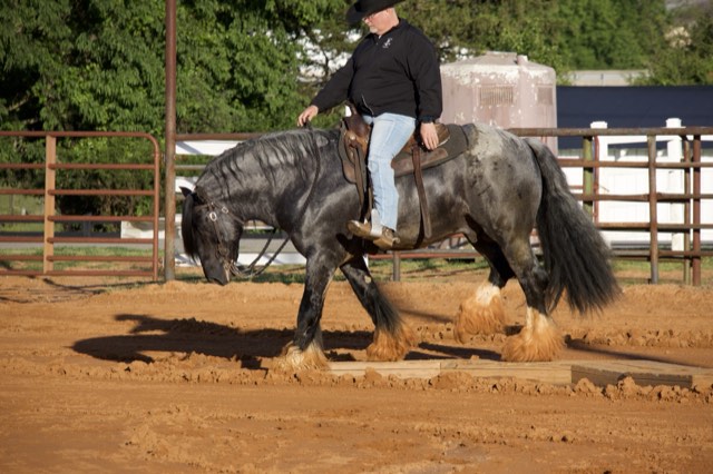 A Spark of Cosmic Blue under saddle