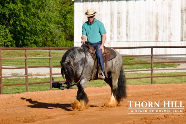 A Spark of Cosmic Blue under saddle